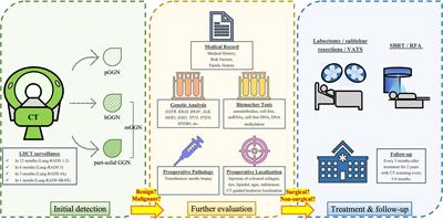Adding predictive and diagnostic values of pulmonary ground-glass nodules on lung cancer via novel non-invasive tests